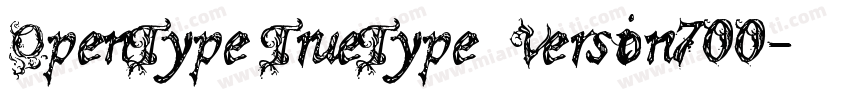 OpenType TrueType)(Version700字体转换